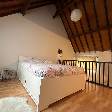 Le Mortier D'Or Duplex Hyper Centre Ville Troyes Eksteriør billede