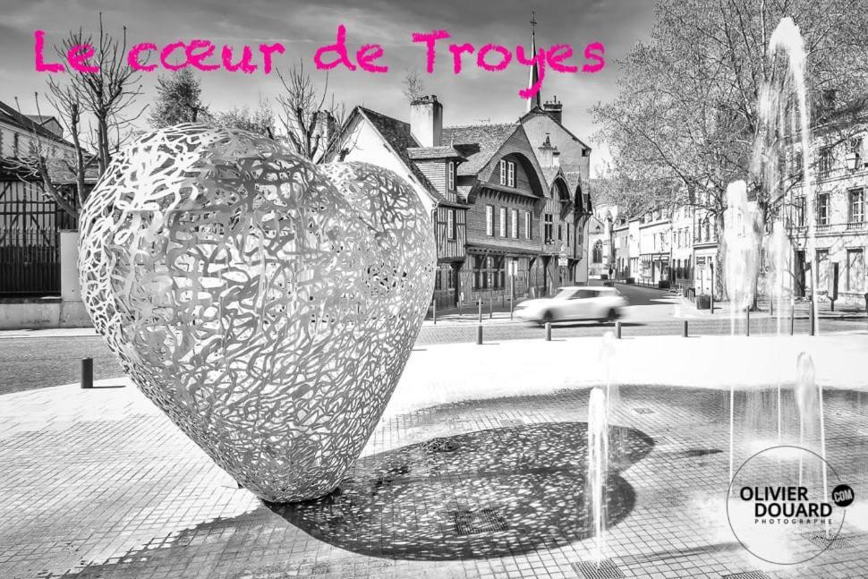 Le Mortier D'Or Duplex Hyper Centre Ville Troyes Eksteriør billede